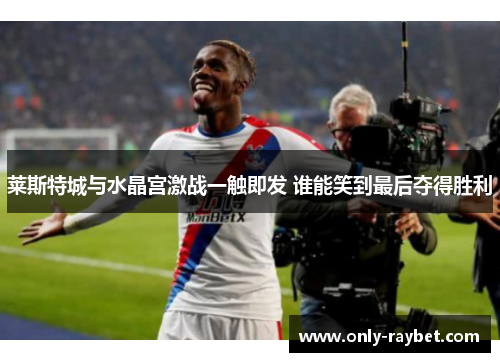 莱斯特城与水晶宫激战一触即发 谁能笑到最后夺得胜利