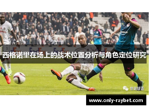 西格诺里在场上的战术位置分析与角色定位研究