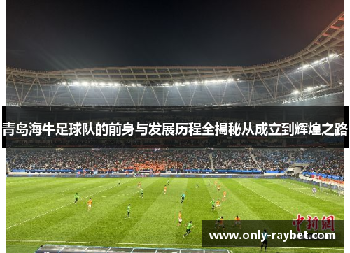 青岛海牛足球队的前身与发展历程全揭秘从成立到辉煌之路