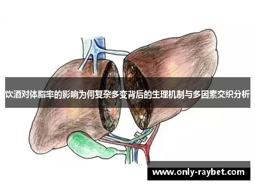 饮酒对体脂率的影响为何复杂多变背后的生理机制与多因素交织分析