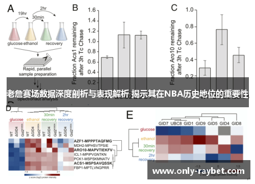 老詹赛场数据深度剖析与表现解析 揭示其在NBA历史地位的重要性 老詹赛场数据深度剖析与表现解析 揭示其在NBA历史地位的重要性