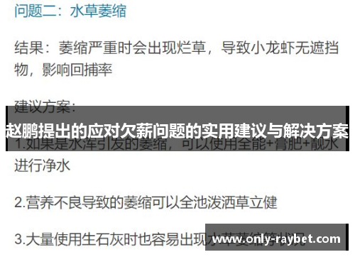 赵鹏提出的应对欠薪问题的实用建议与解决方案