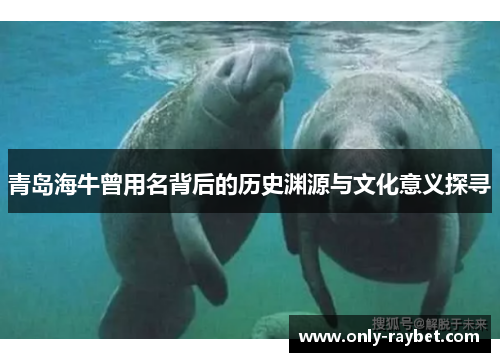 青岛海牛曾用名背后的历史渊源与文化意义探寻