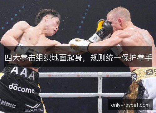 四大拳击组织地面起身，规则统一保护拳手